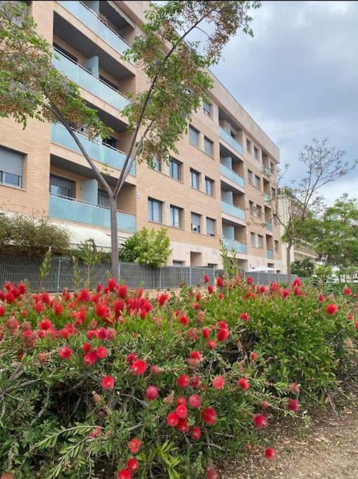 Appartement Voramar Fenals -
